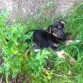 Luna de pequeña jugando en la huerta. 